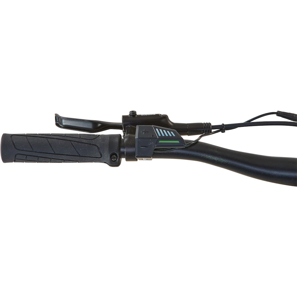 Prophete E-Bike »Dice 1.0« 8 Gang Shimano Altus Heckmotor 250 W im Angebot