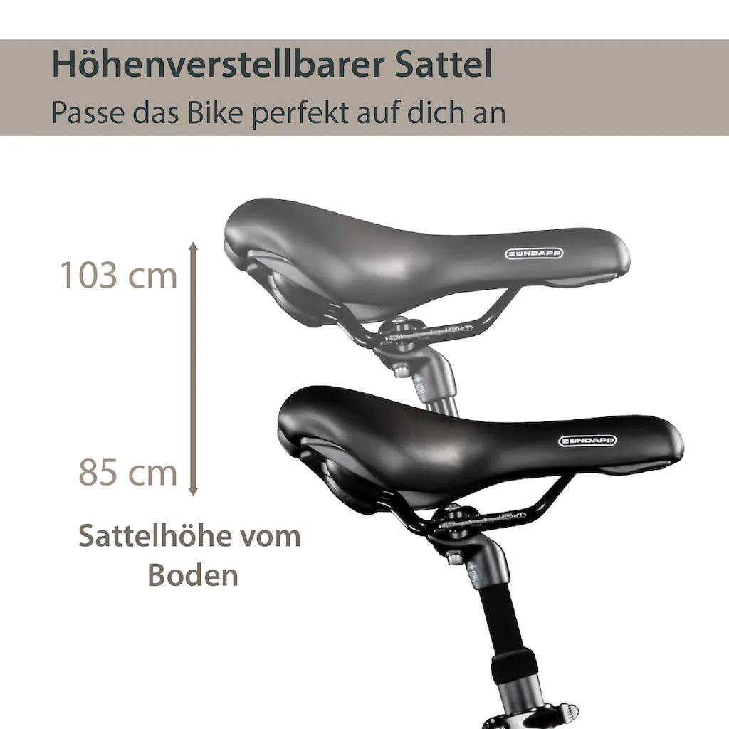 AGON E-Bike »Aurora« 3 Gang Frontmotor 250 W Pedelec Elektrofahrrad für Damen u. Herren Cityrad Schlussverkauf