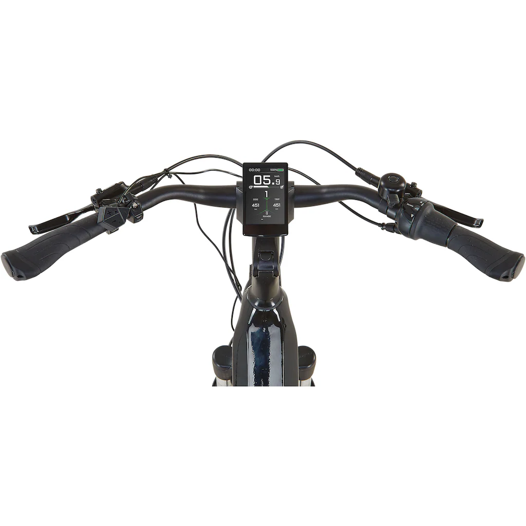 Prophete E-Bike »Geniesser 5.0« 7 Gang Shimano Nexus Mittelmotor 250 W auf Rechnung bestellen Meist gekauft
