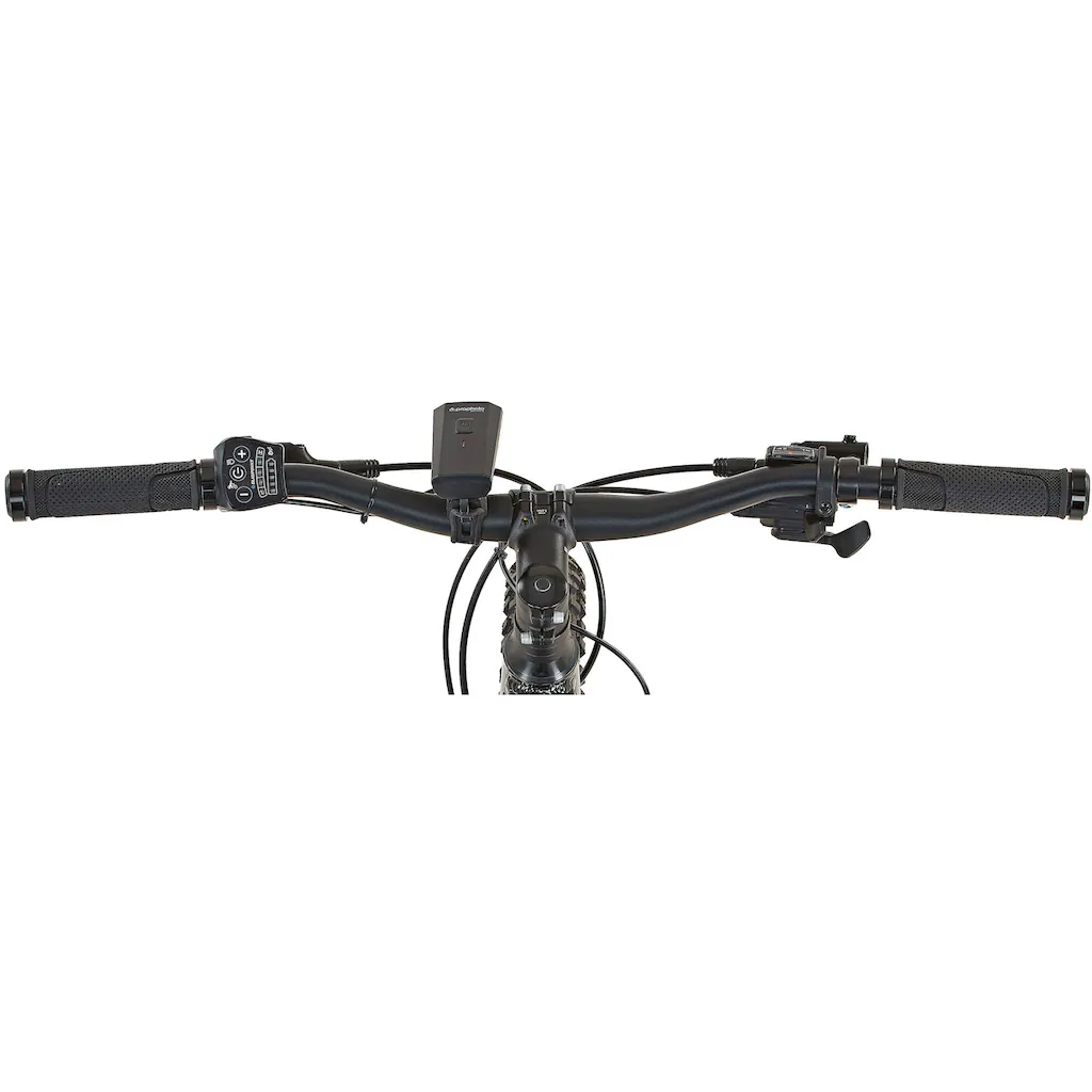 Prophete E-Bike »Graveler eM100« 8 Gang Shimano Altus Heckmotor 250 W Fabrik Onlineshop