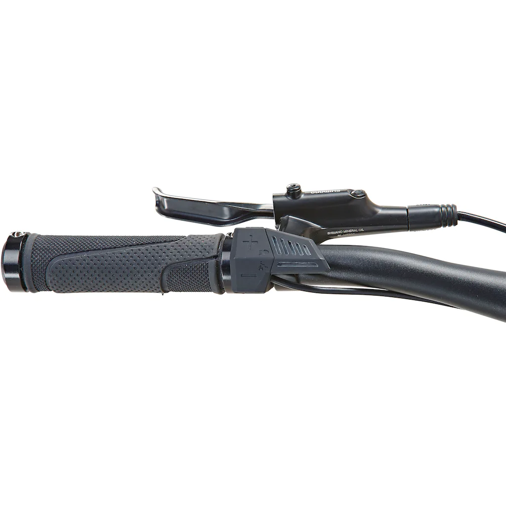 Prophete E-Bike »DICE 1.0« 8 Gang Shimano Altus Heckmotor 250 W Pedelec Elektrofahrrad für Damen u. Herren MTB Mountainbike auf Rechnung online kaufen Preisnachlass