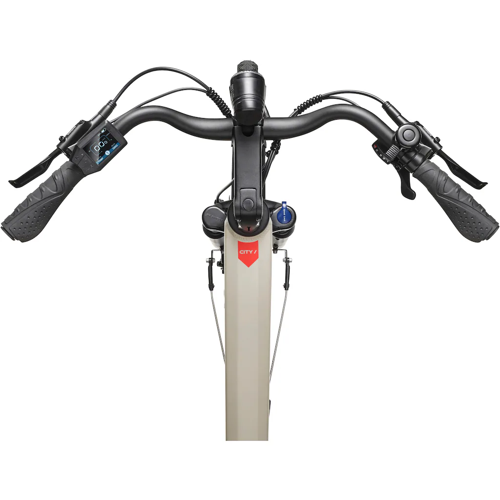 Telefunken E-Bike »Multitalent RC680« 10 Gang Shimano Mittelmotor 250 W (28 Zoll Straßenzulassung Scheibenbremsen) Pedelec Elektrofahrrad für Damen u. Herren Cityrad Saisonschlussverkauf