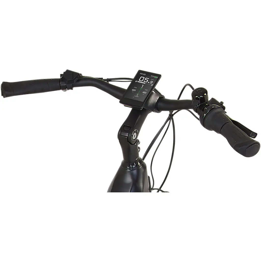 Prophete E-Bike »Geniesser 5.8« 7 Gang Shimano Nexus Mittelmotor 250 W Blitzangebot