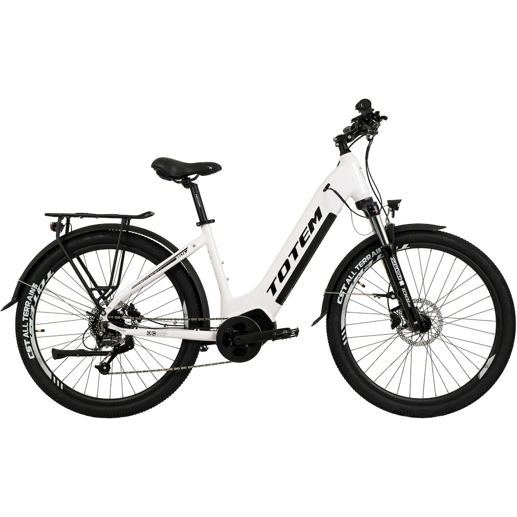 TOTEM E-Bike »DLT-40« 9 Gang Shimano Altus Mittelmotor 250 W Pedelec Elektrofahrrad für Herren auf Raten