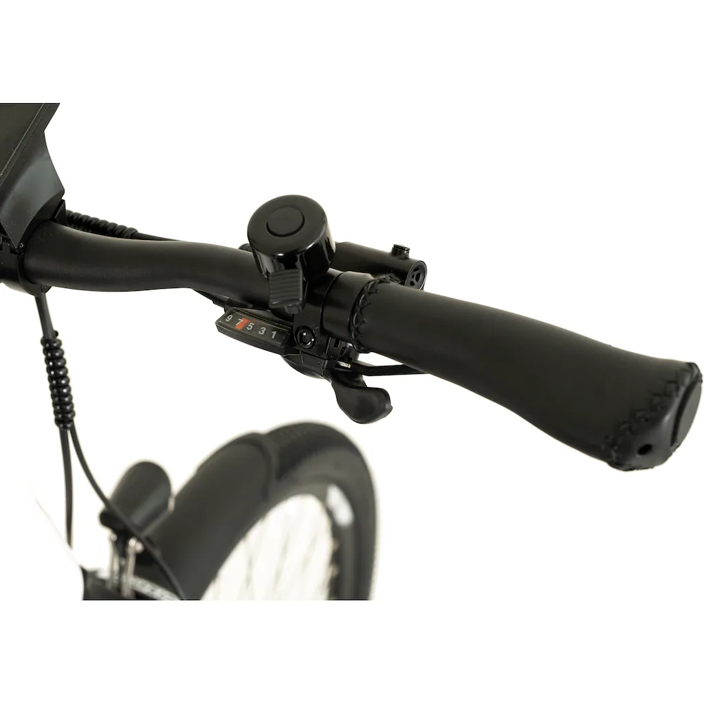 TOTEM E-Bike »DLT-40« 9 Gang Shimano Altus Mittelmotor 250 W Pedelec Elektrofahrrad für Herren auf Raten Sonderangebote