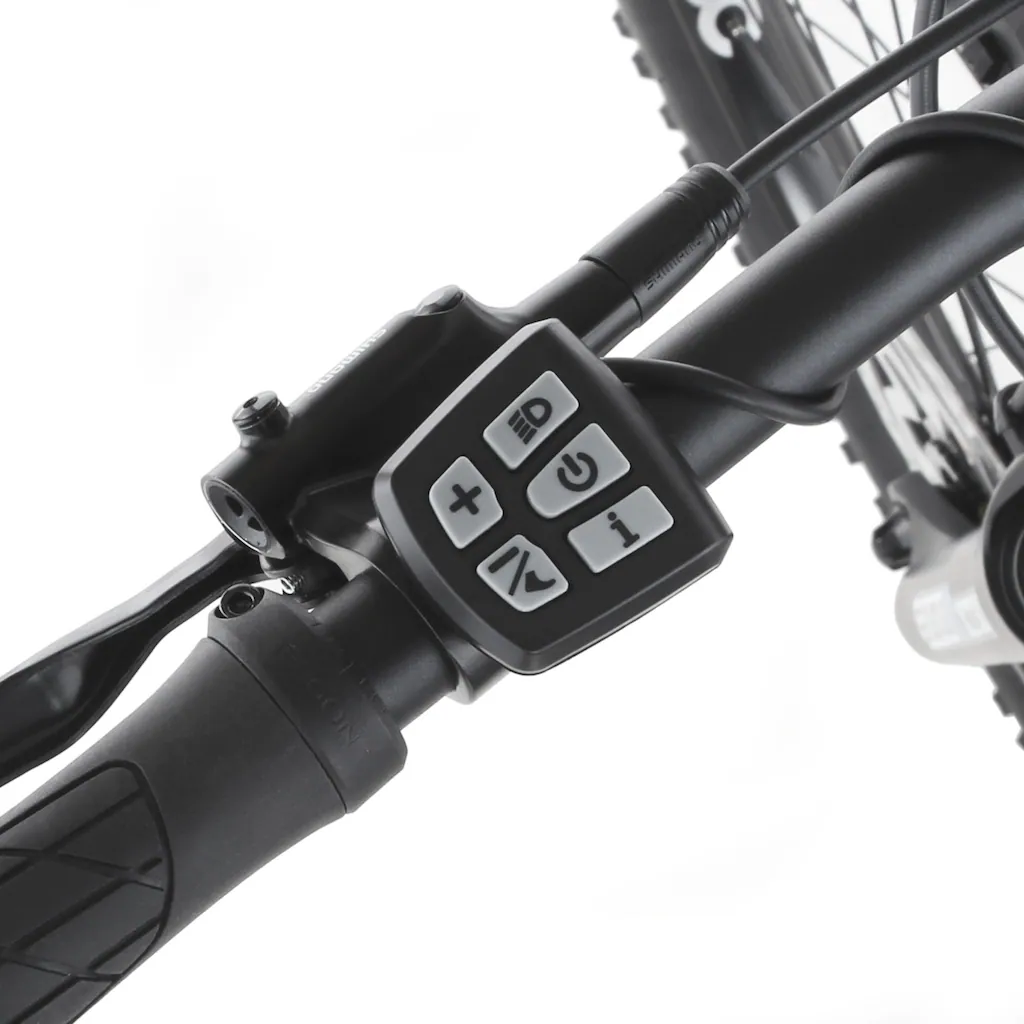 FISCHER Fahrrad E-Bike »MONTIS EM 2129 627 51« 10 Gang Shimano DEORE Kettenschaltung (mit Akku-Ladegerät-mit Werkzeug) Wochenangebot