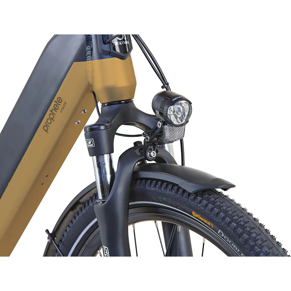 Prophete E-Bike »Entdecker InsideTwo« 10 Gang Shimano Deore Mittelmotor 250 W Pedelec Elektrofahrrad für Damen u. Herren Trekkingrad auf Raten Kostenloser Versand