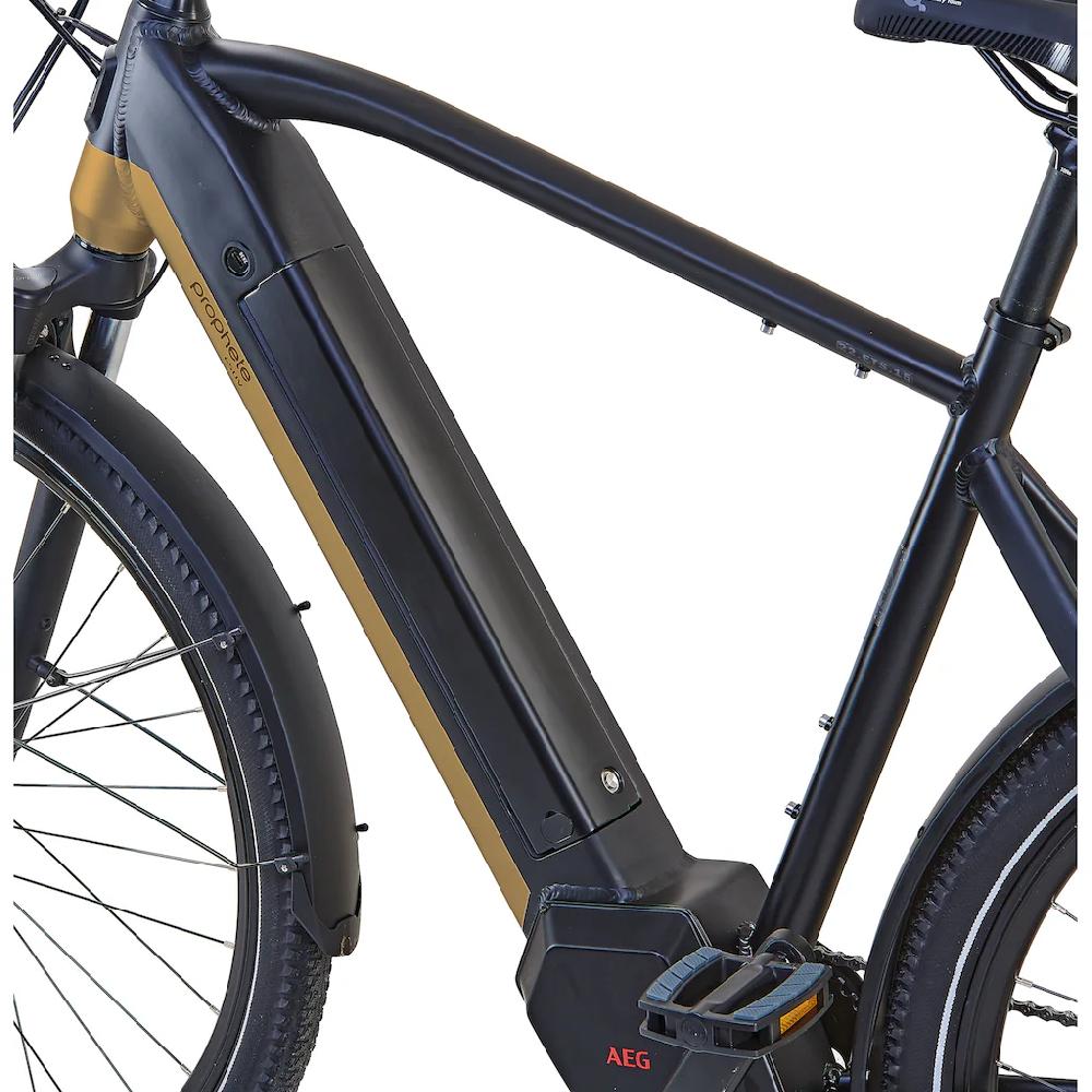 Prophete E-Bike »Entdecker InsideTwo« 10 Gang Shimano Deore Mittelmotor 250 W Pedelec Elektrofahrrad für Damen u. Herren Trekkingrad auf Raten Kostenloser Versand