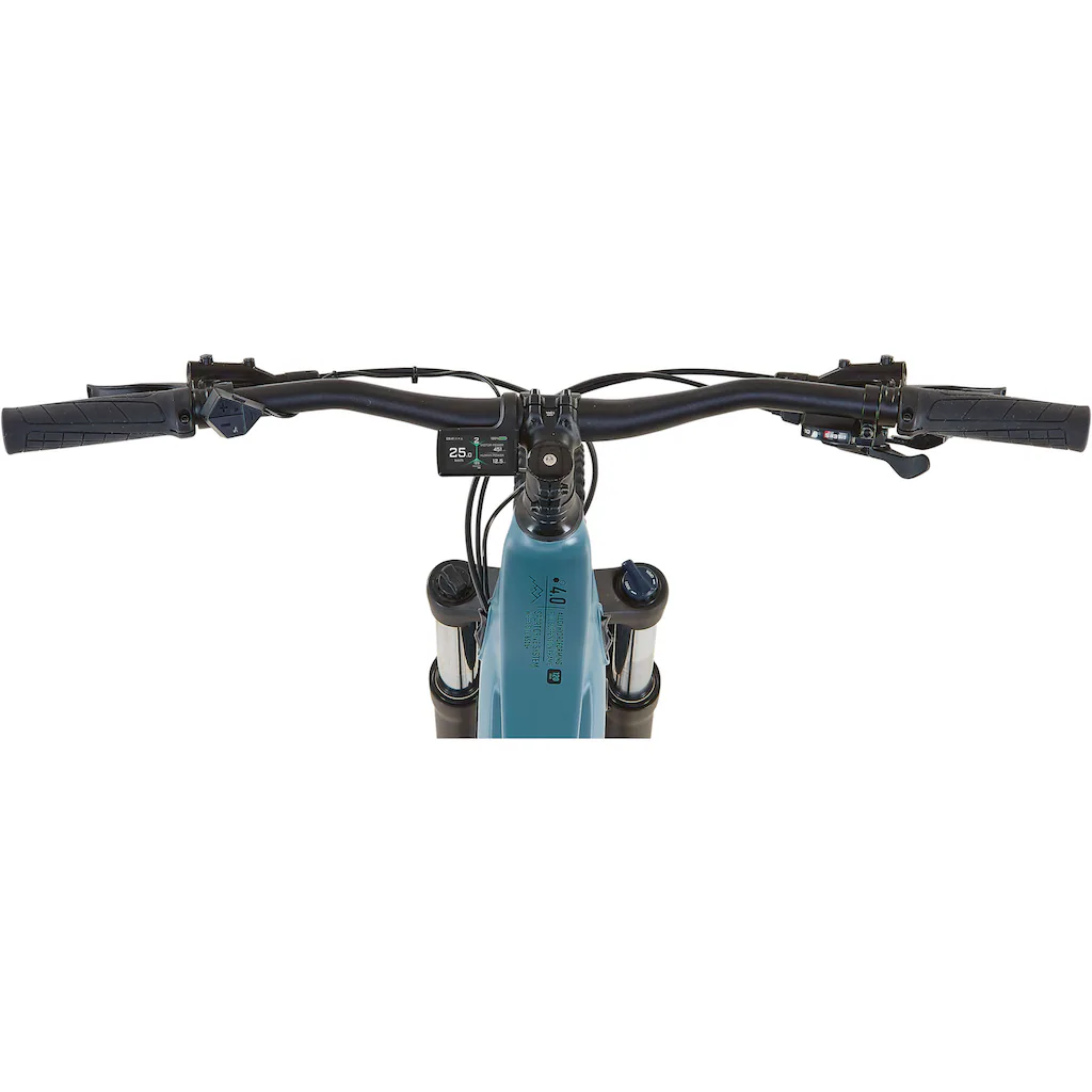 Prophete E-Bike »Dice 4.0« 10 Gang Shimano Cues Mittelmotor 250 W Fabrikpreis