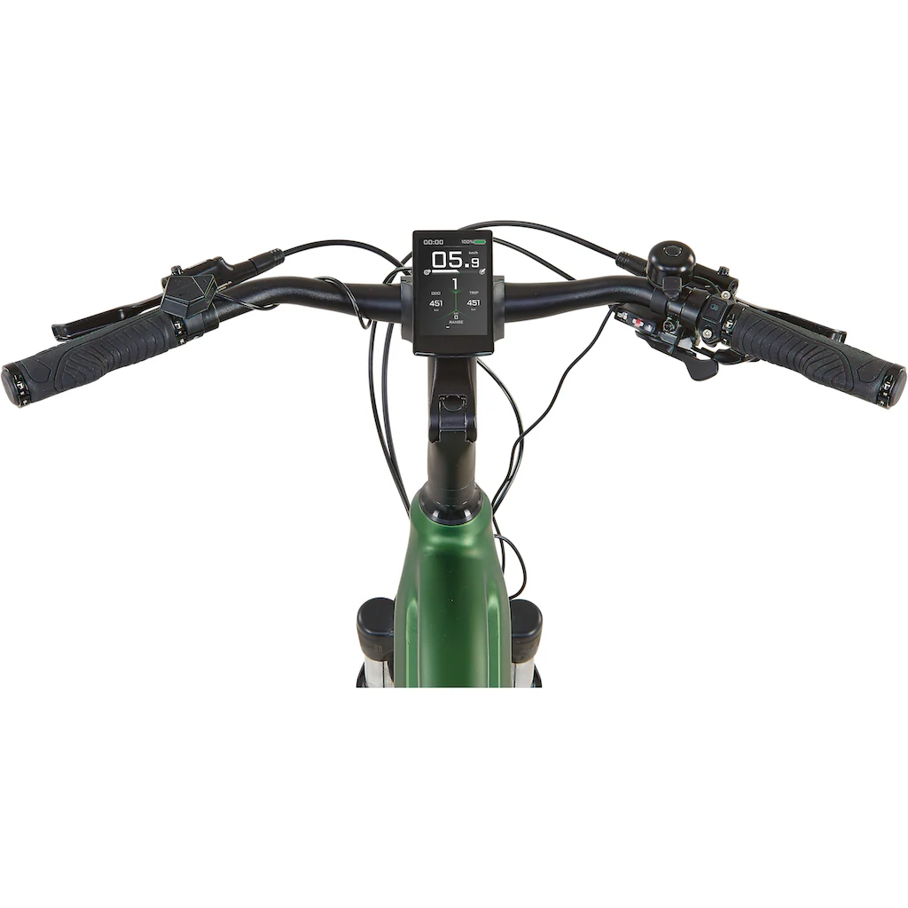 Prophete E-Bike »Entdecker 4.9« 10 Gang Shimano Cues Mittelmotor 250 W Pedelec Elektrofahrrad für Damen auf Raten Super Sparpreis