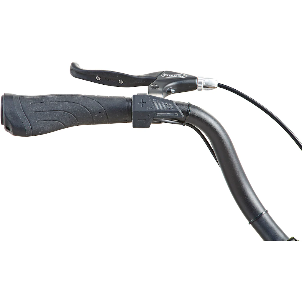 Prophete E-Bike »Geniesser 1.0« 3 Gang Shimano Nexus Frontmotor 250 W Pedelec Elektrofahrrad für Damen u. Herren Cityrad JETZT KAUFEN
