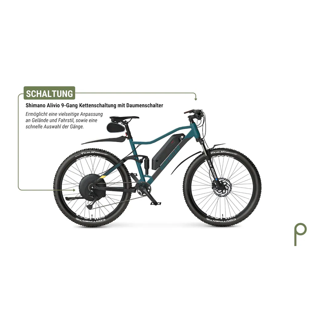 Prophete E-Bike »Graveler« 9 Gang Shimano Alivio Heckmotor 250 W Pedelec Elektrofahrrad für Damen u. Herren MTB Mountainbike Bis zu 60% Rabatt