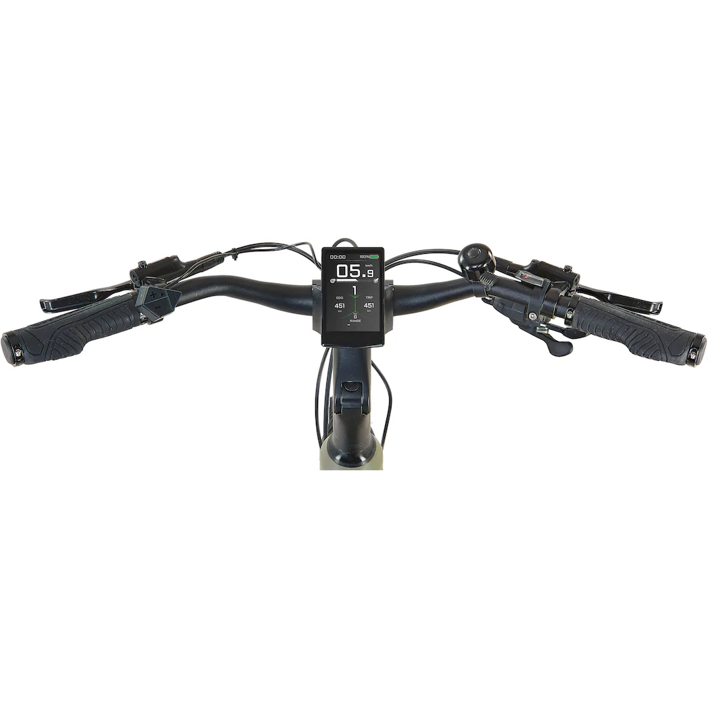 Prophete E-Bike »Entdecker 4.0« 10 Gang microSHIFT RD-M61S Mittelmotor 250 W Pedelec Elektrofahrrad für Damen Trekkingrad auf Rechnung kaufen Riesige Rabatte