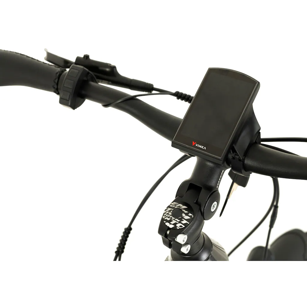 TOTEM E-Bike »DLT-40« 9 Gang Shimano Altus Mittelmotor 250 W Pedelec Elektrofahrrad für Herren auf Rechnung online kaufen Fabrikverkauf