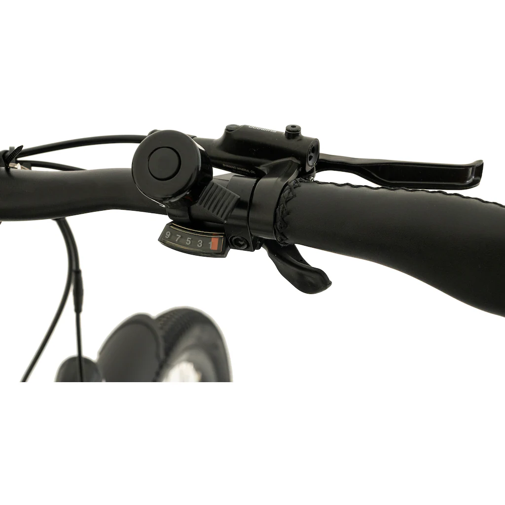 TOTEM E-Bike »DLT-40« 9 Gang Shimano Altus Mittelmotor 250 W Pedelec Elektrofahrrad für Herren auf Rechnung online kaufen Fabrikverkauf