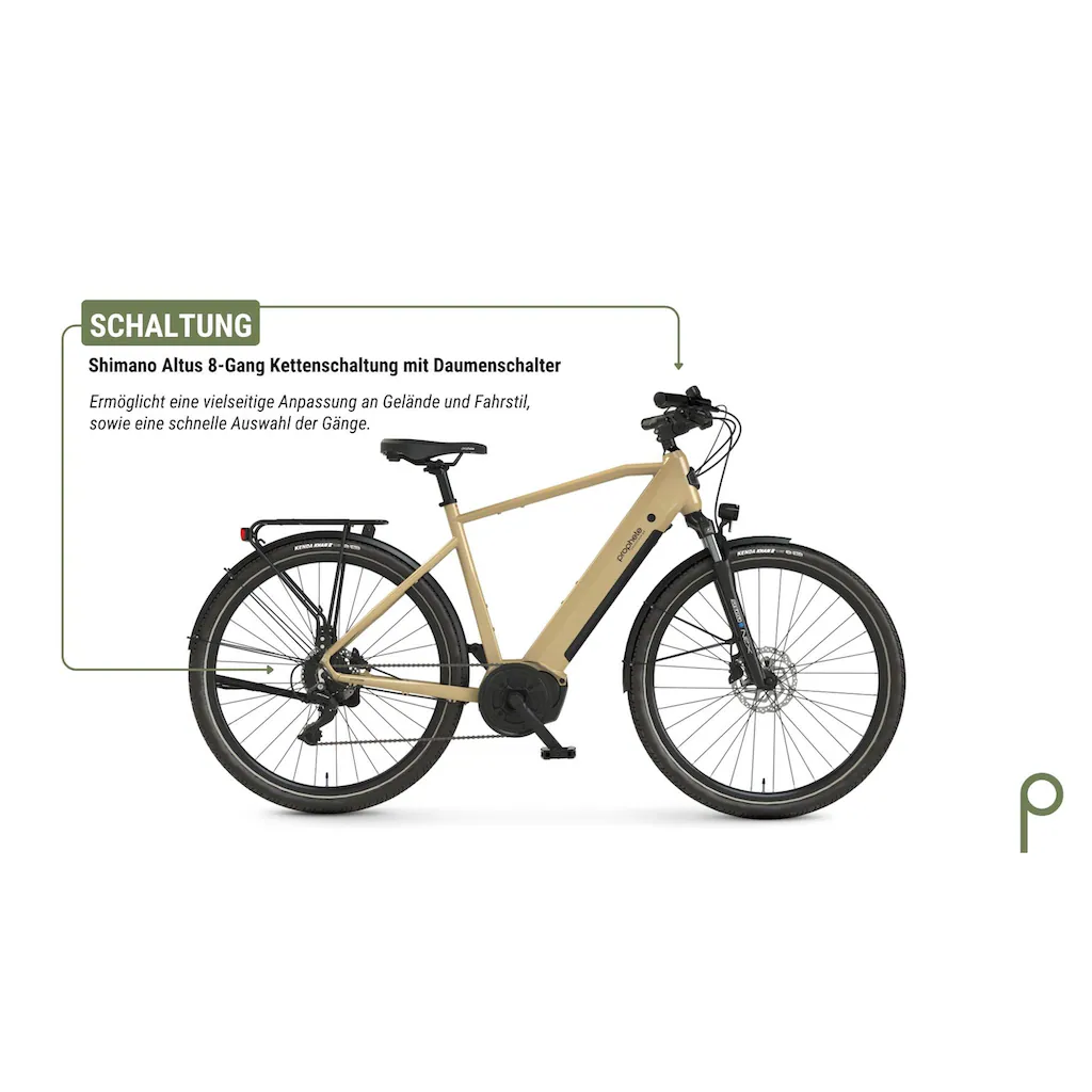 Prophete E-Bike »Entdecker 3.4« 8 Gang Shimano Mittelmotor 250 W Pedelec Elektrofahrrad für Herren Trekkingrad auf Rechnung Blitzverkäufe