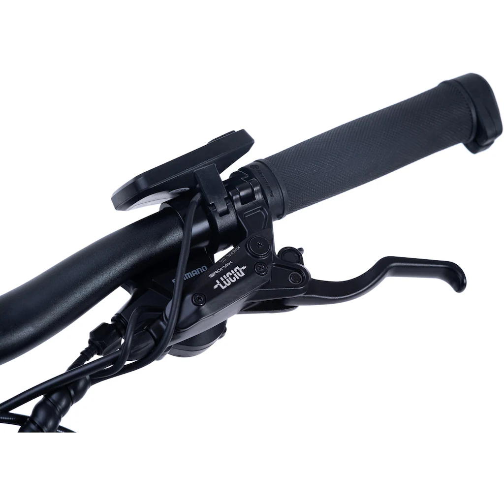 Adore E-Bike »Enforce« 24 Gang Shimano Acera Heckmotor 250 W Pedelec Elektrofahrrad für Damen u. Herren MTB Mountainbike auf Rechnung bestellen Günstig kaufen
