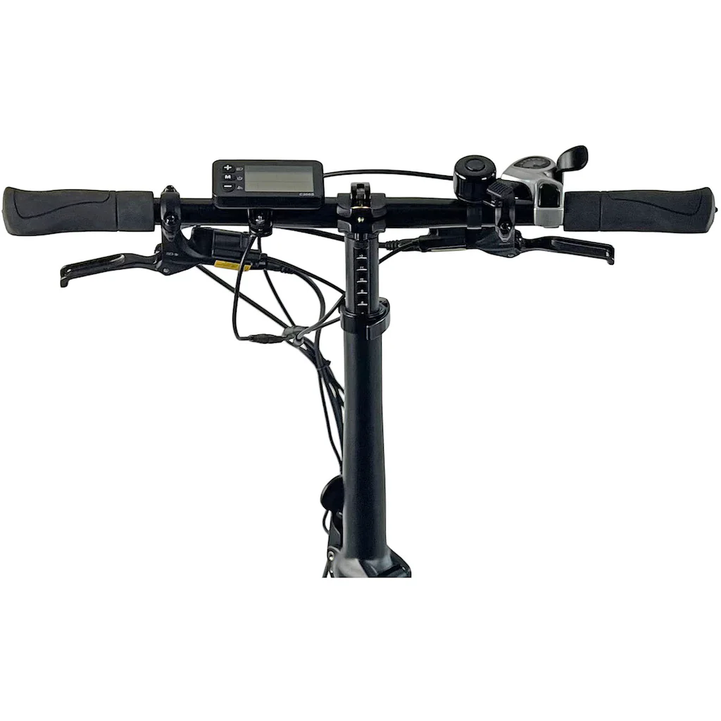 LLobe E-Bike »E-Falt-Fatbike 20" Robust Pro« Shimano Tourney Heckmotor 250 W Versandkostenfrei