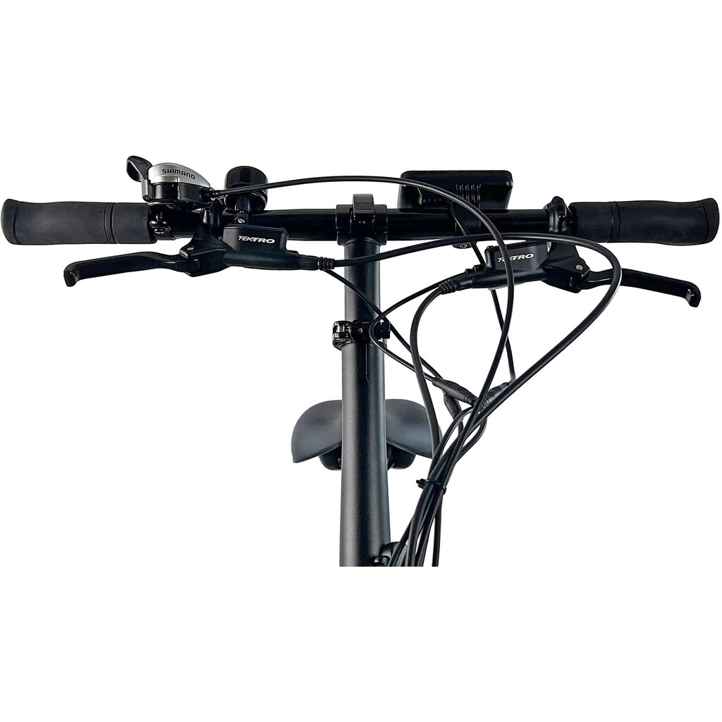 LLobe E-Bike »E-Falt-Fatbike 20" Robust Pro« Shimano Tourney Heckmotor 250 W Versandkostenfrei