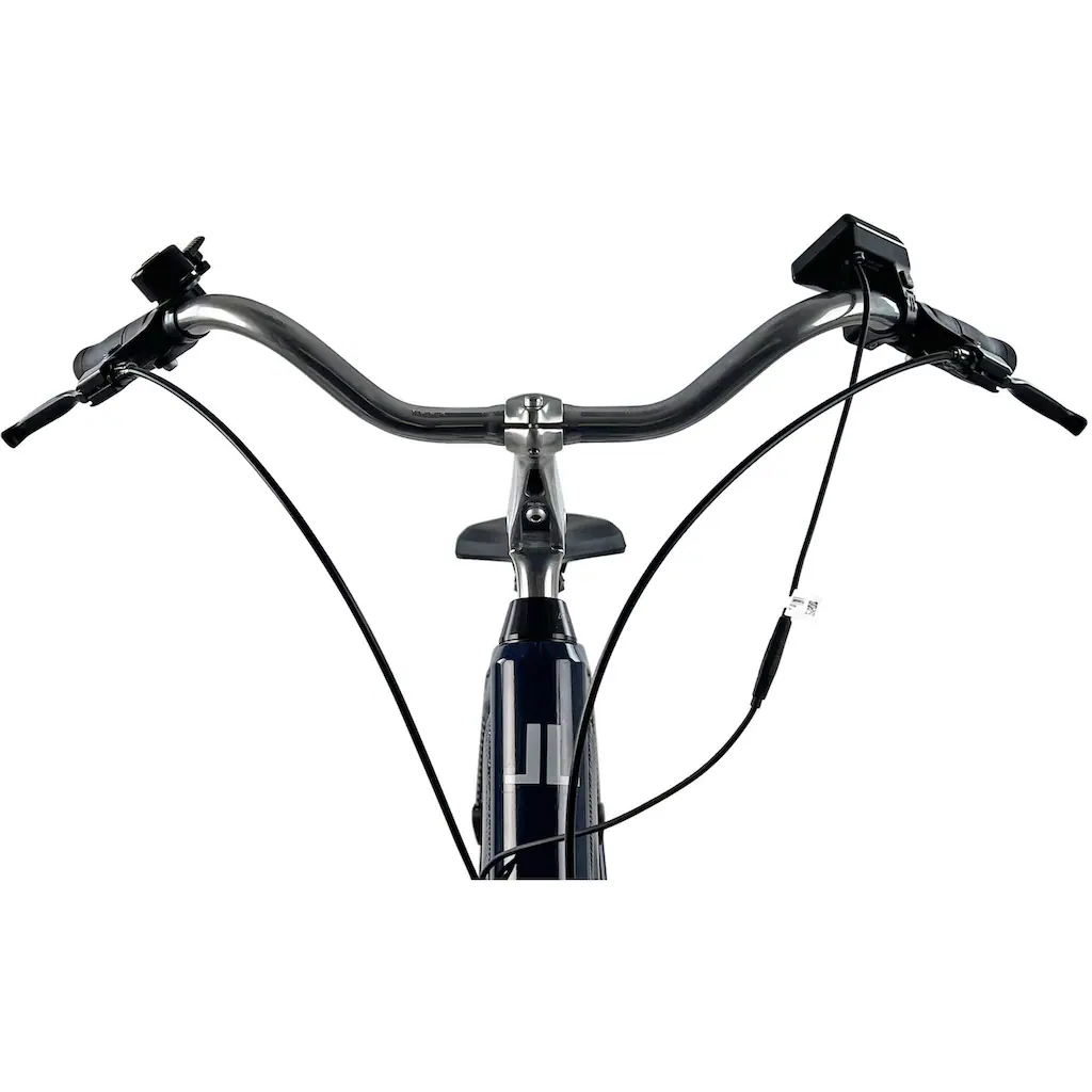 LLobe E-Bike »City E-Bike 28" Millenium 2G« Heckmotor 250 W auf Raten Flash Sale