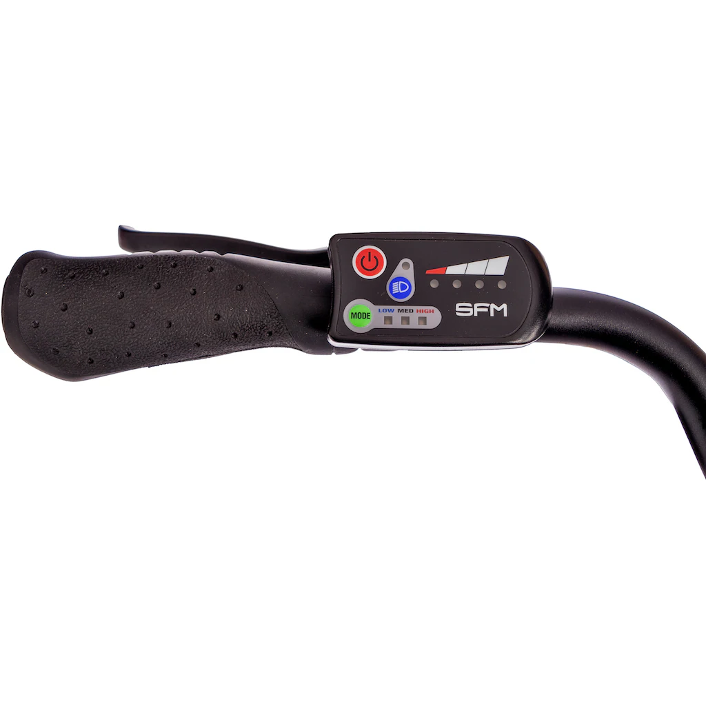SAXONETTE E-Bike »Advanced Plus« 3 Gang Shimano SHIMANO Nexus Frontmotor 250 W (mit Akku-Ladegerät u. integr. Rahmenschloss) Pedelec Elektrofahrrad für Damen u. Herren Cityrad Valentinstagsangebot