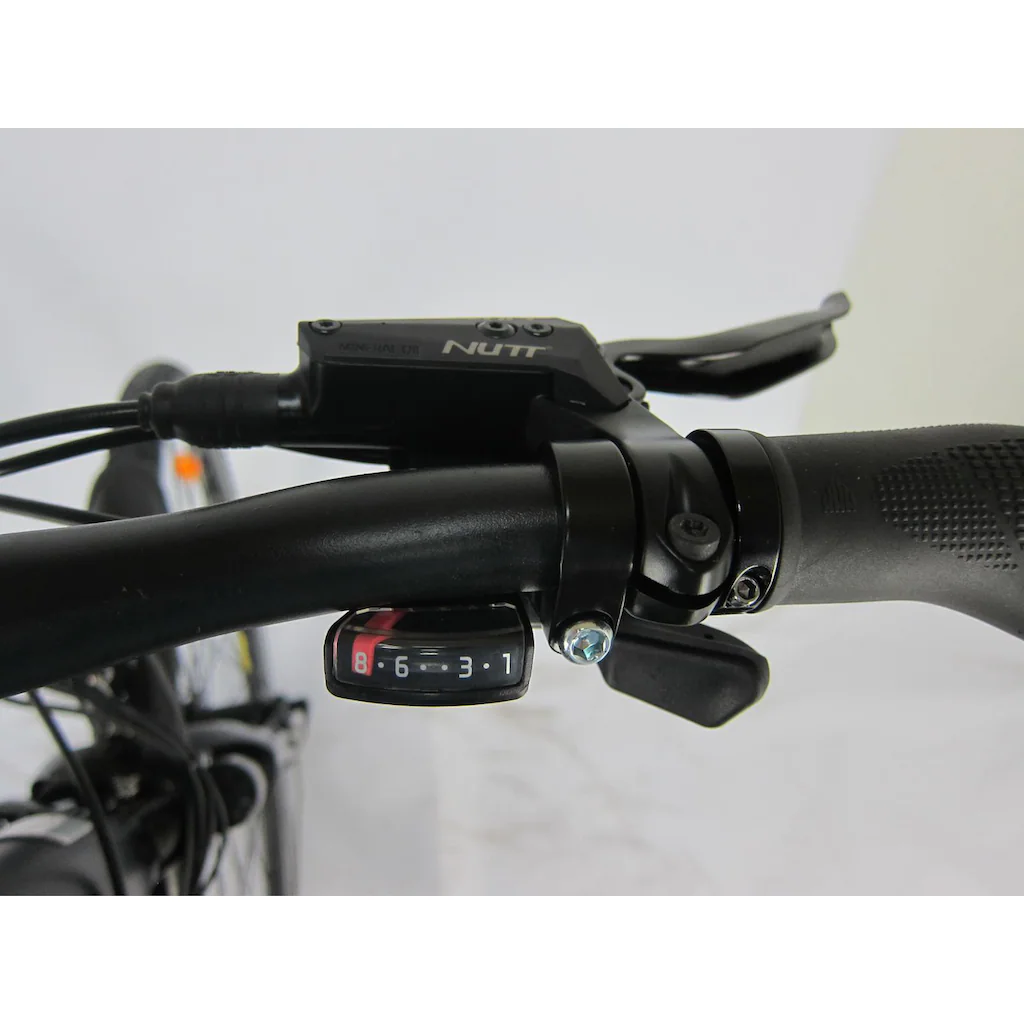 Maxtron E-Bike »MT 12« 8 Gang Shimano Altus Heckmotor 250 W Pedelec Elektrofahrrad für Damen u. Herren Trekkingrad auf Rechnung bestellen Tägliche Deals