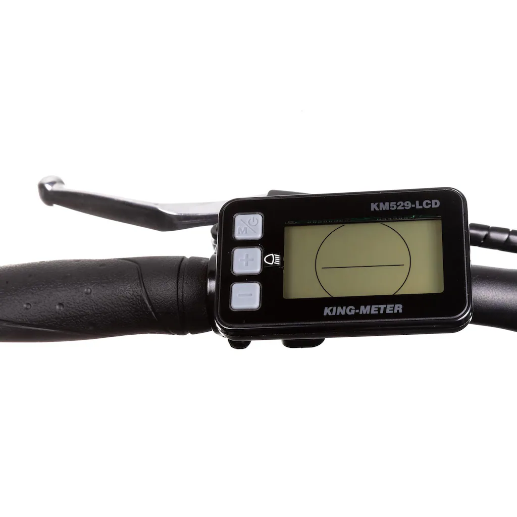 Maxtron E-Bike »MT 12« 8 Gang Shimano Altus Heckmotor 250 W Pedelec Elektrofahrrad für Damen u. Herren Trekkingrad auf Rechnung bestellen Tägliche Deals