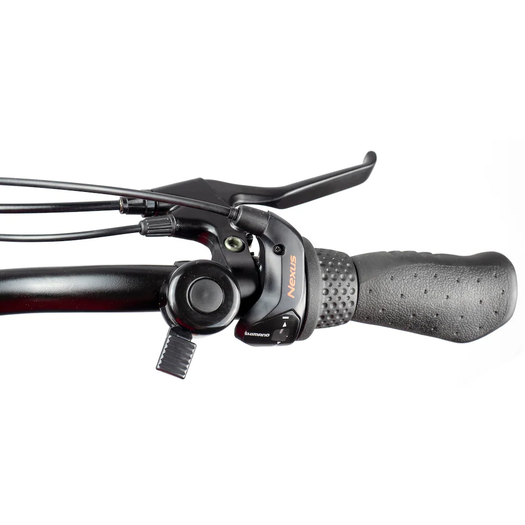 ALLEGRO E-Bike »Andi 3 Plus 374« 3 Gang Shimano Nexus Frontmotor 250 W Pedelec Elektrofahrrad für Damen u. Herren Faltrad Sonderangebote