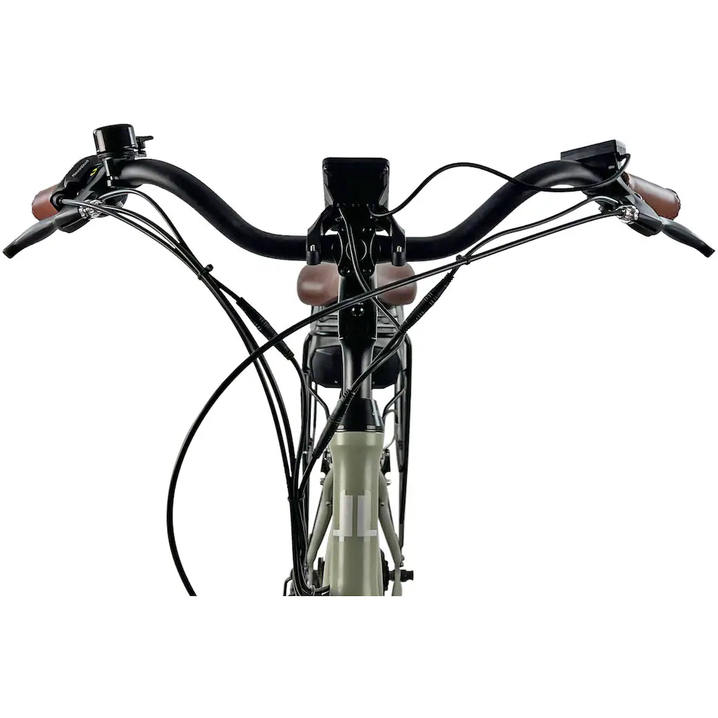 LLobe E-Bike »City E-Bike 28" County grün« Shimano Altus Heckmotor 250 W auf Rechnung VIP-Rabatte
