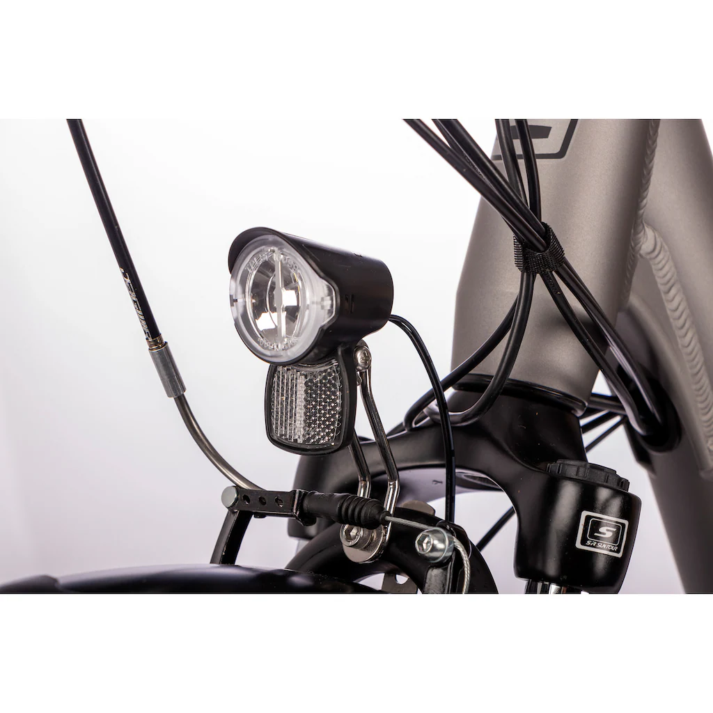 SAXONETTE E-Bike »Advanced Plus« 3 Gang Shimano SHIMANO Nexus Frontmotor 250 W (mit Akku-Ladegerät u. integr. Rahmenschloss) Pedelec Elektrofahrrad für Damen u. Herren Cityrad Kostenlose Rückgabe