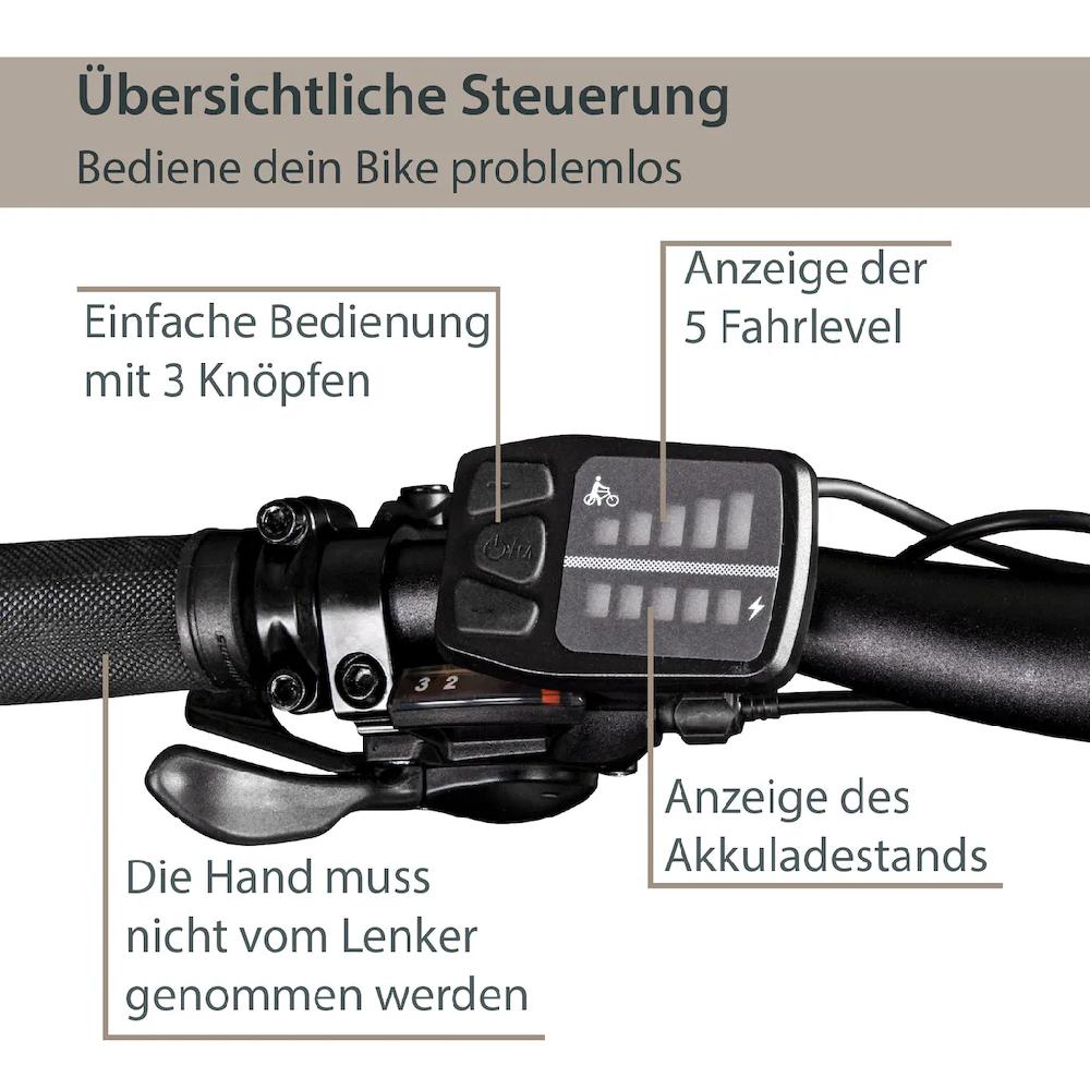 AGON E-Bike »Alpha« 24 Gang Heckmotor 250 W Pedelec Elektrofahrrad für Damen u. Herren MTB Mountainbike auf Raten Letzte 2 Tage
