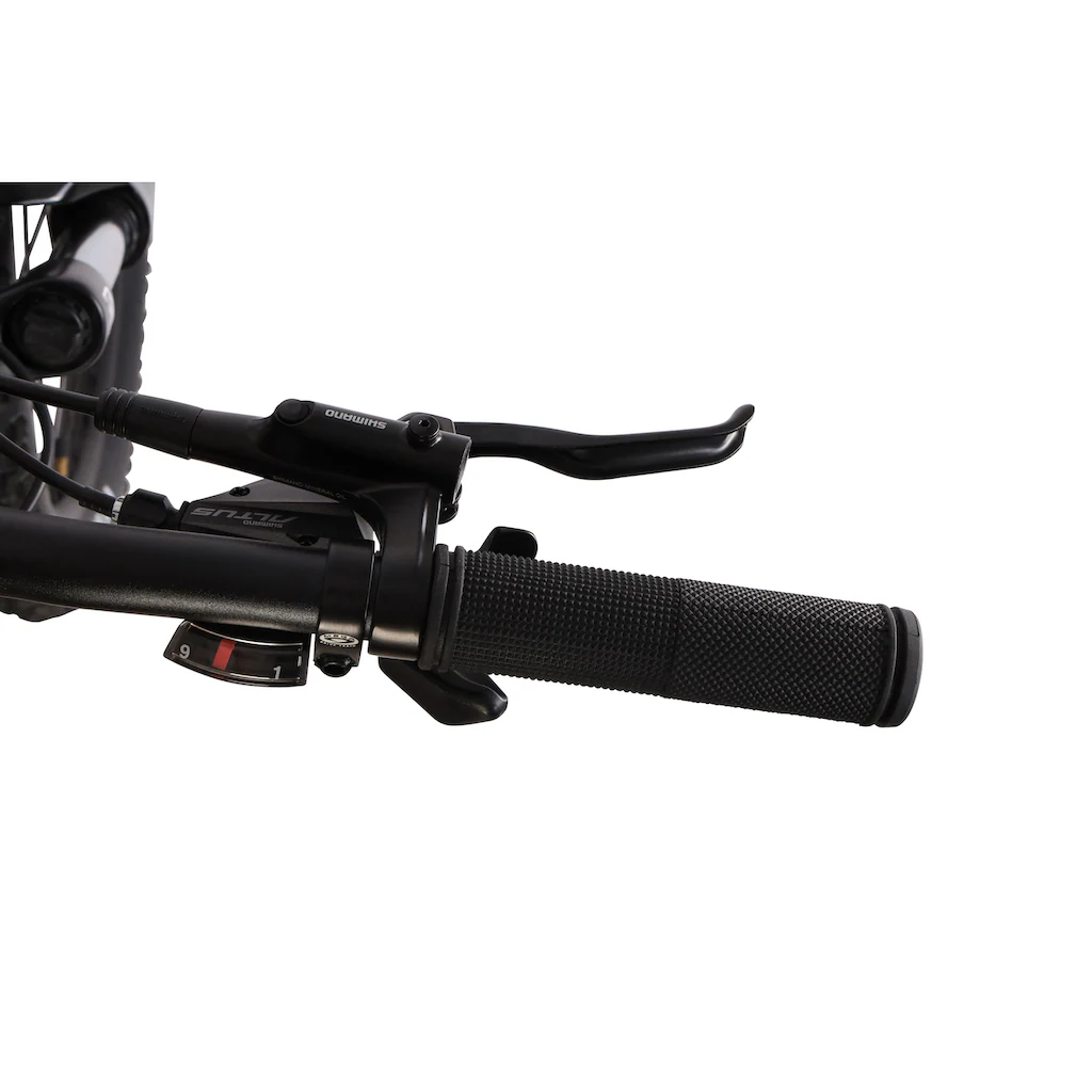 Maxtron E-Bike »MT 15X« 9 Gang Shimano Alivio Mittelmotor 250 W Pedelec Elektrofahrrad für Damen u. Herren MTB Mountainbike Nur für heute