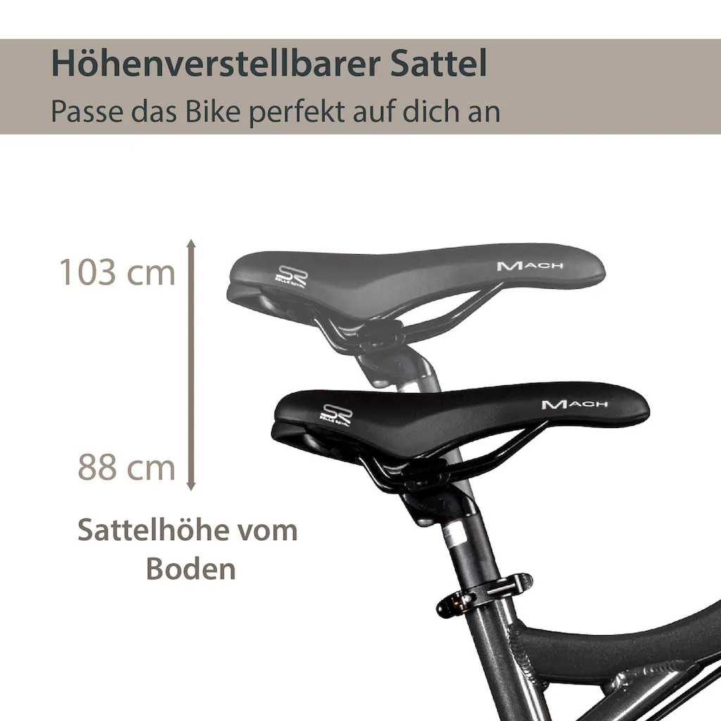 AGON E-Bike »Alpha« 24 Gang Heckmotor 250 W Pedelec Elektrofahrrad für Damen u. Herren MTB auf Rechnung online bestellen Begrenzt auf 3 Tage
