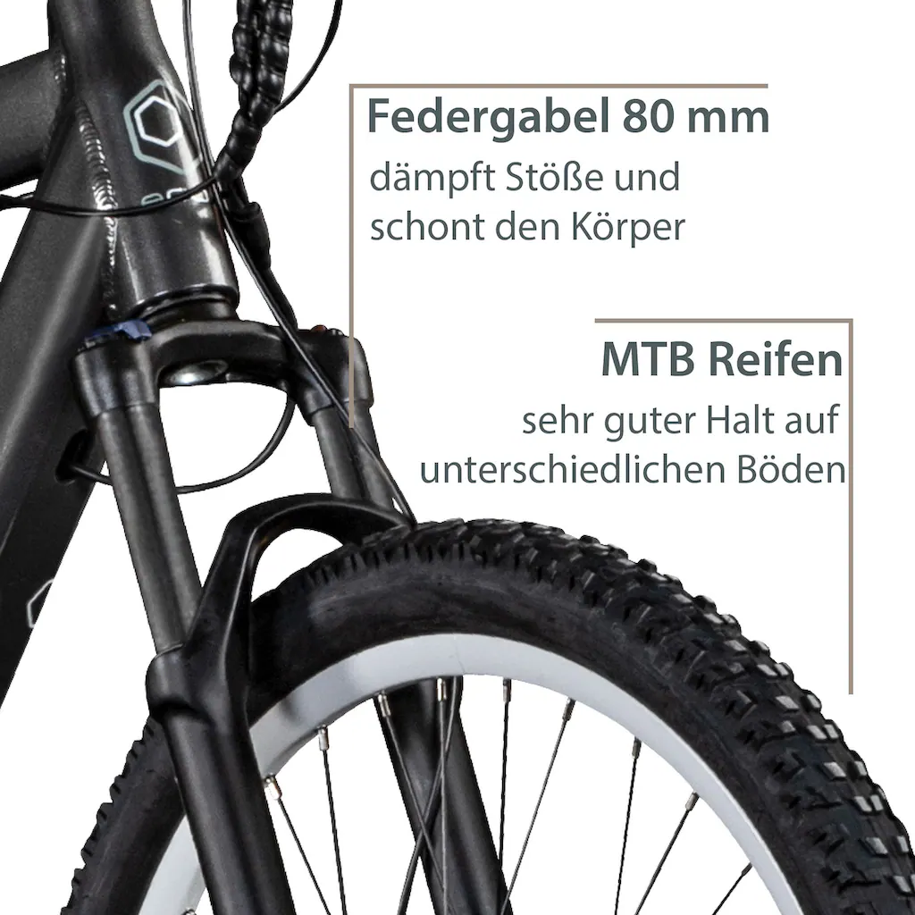 AGON E-Bike »Alpha« 24 Gang Heckmotor 250 W Pedelec Elektrofahrrad für Damen u. Herren MTB auf Rechnung online bestellen Begrenzt auf 3 Tage
