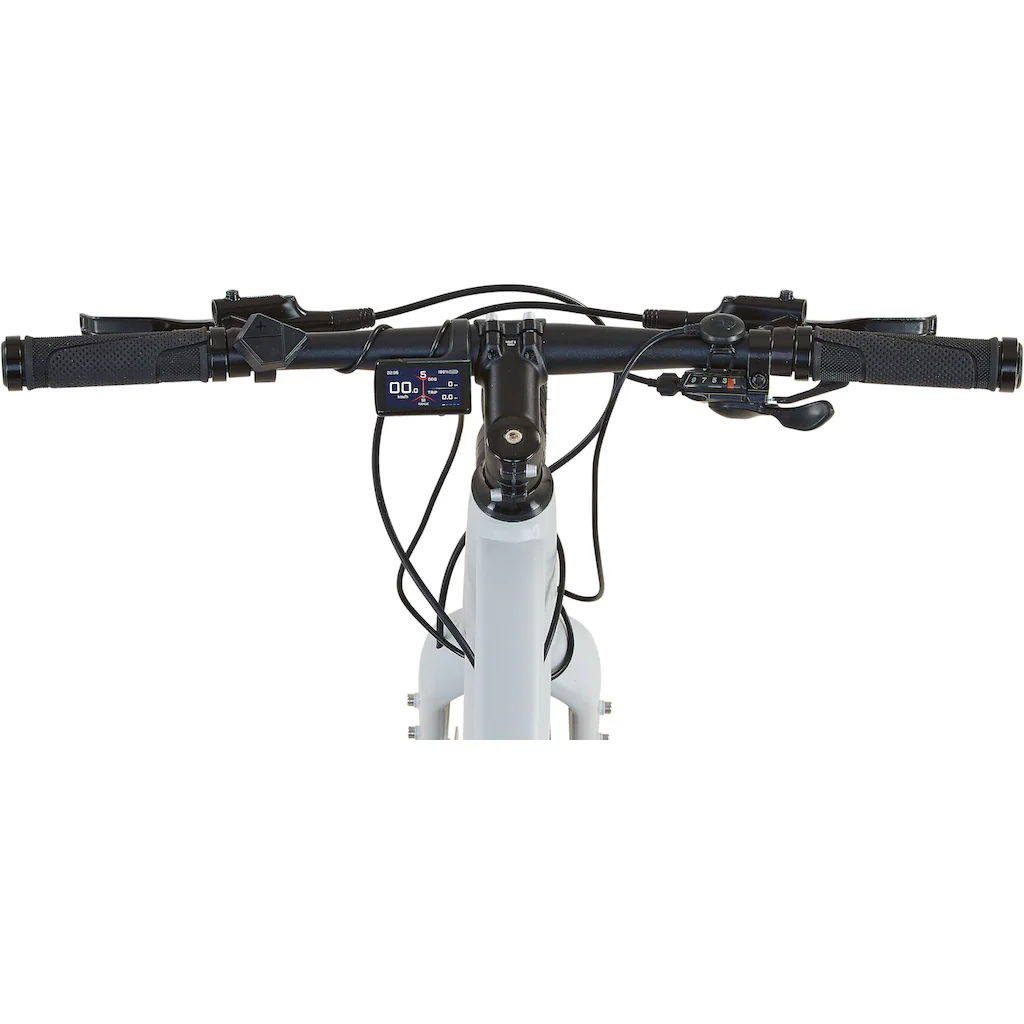 Prophete E-Bike »Urbanicer 2.9« 9 Gang Shimano Alivio Heckmotor 250 W Pedelec Elektrofahrrad für Herren Urbanbike Auslauf