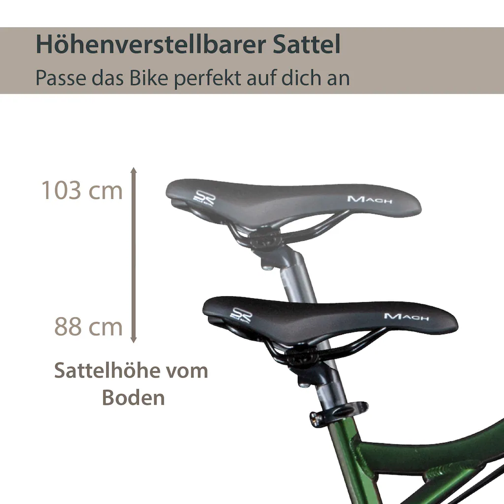 AGON E-Bike »Alpha« 24 Gang Heckmotor 250 W Pedelec Elektrofahrrad für Damen u. Herren MTB Mountainbike auf Rechnung Fabrikpreis