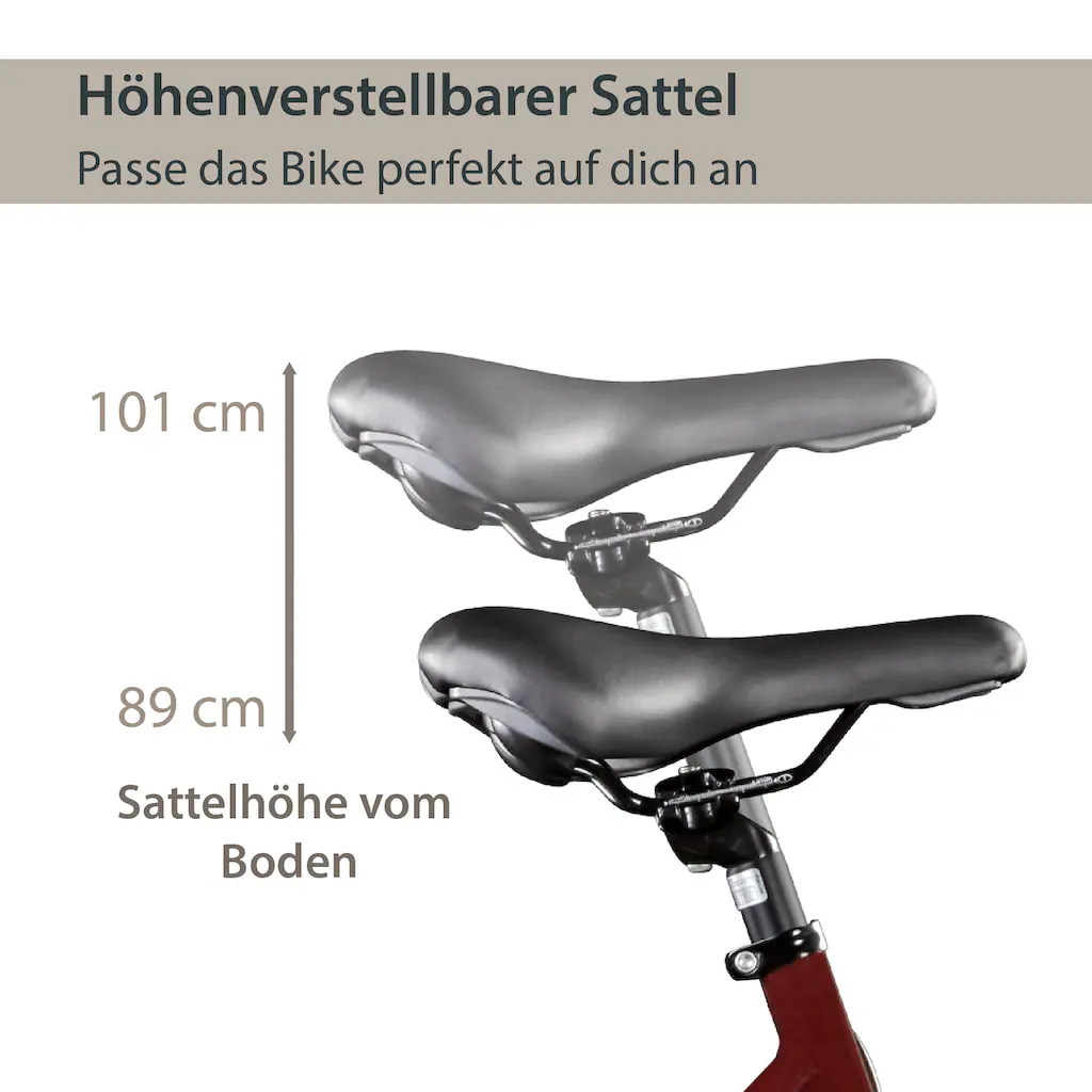 AGON E-Bike »Avesa« 21 Gang Heckmotor 250 W Pedelec Elektrofahrrad für Damen u. Herren Trekkingrad auf Rechnung Cyber Monday