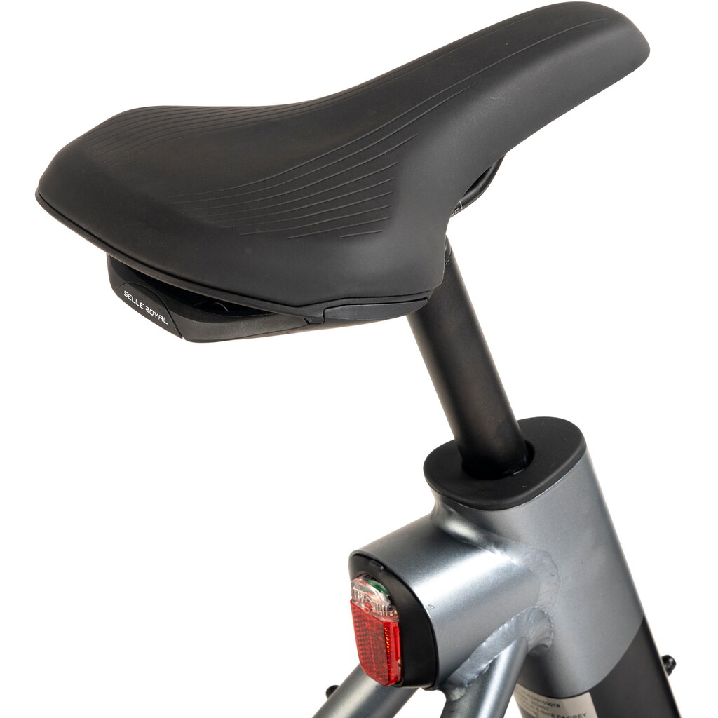VOGUE BIKE E-Bike »C4« 7 Gang Shimano Tourney Heckmotor 250 W Pedelec Elektrofahrrad für Damen u. Herren Cityrad auf Rechnung Heißer Verkauf