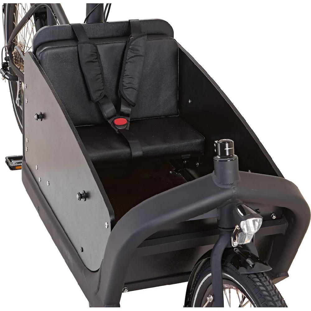 Prophete E-Bike »CARGO Plus 22.ETL.10« 8 Gang Shimano Acero Mittelmotor 250 W Pedelec Elektrofahrrad für Damen u. Herren Lastenrad Tägliche Deals