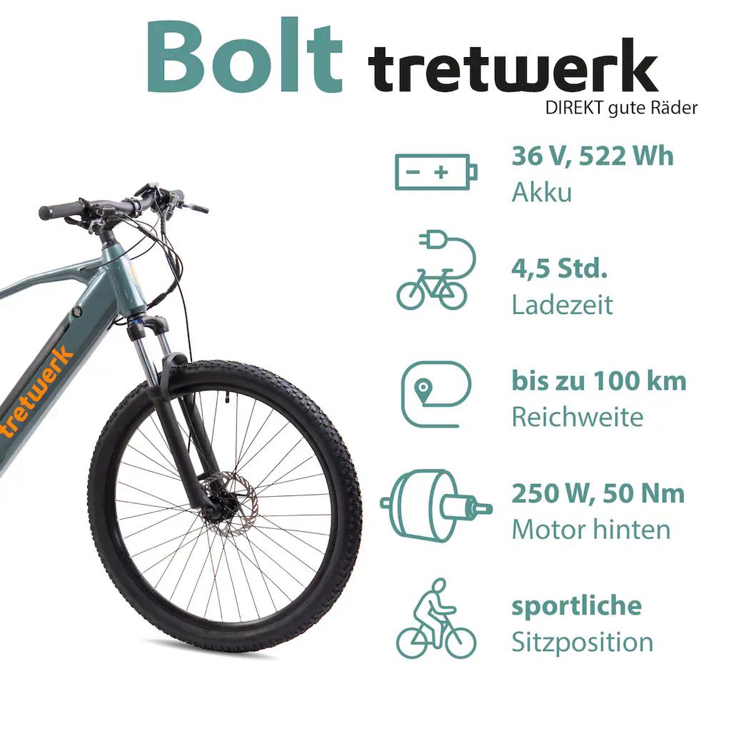Tretwerk E-Bike »Bolt« Shimano Heckmotor 250 W Pedelec Elektrofahrrad für Damen u. Herren MTB Mountainbike JETZT KAUFEN