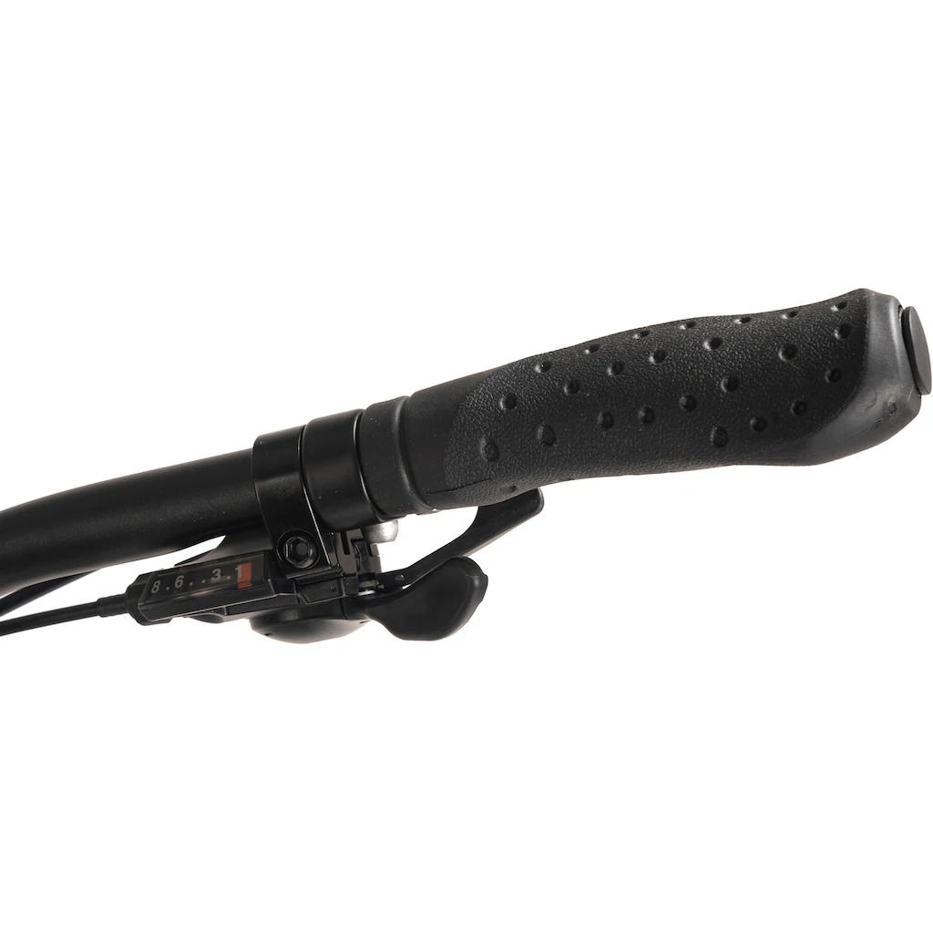 Adore E-Bike »ATR-190« 24 Gang Shimano Tourney Heckmotor 250 W Pedelec Elektrofahrrad für Herren Trekkingrad auf Rechnung Bis zu 65% Rabatt