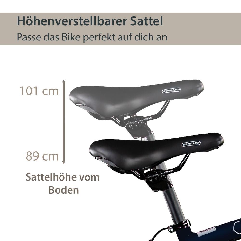 AGON E-Bike »Avesa« 21 Gang Heckmotor 250 W Pedelec Elektrofahrrad für Damen u. Herren Trekkingrad Weihnachtsangebot