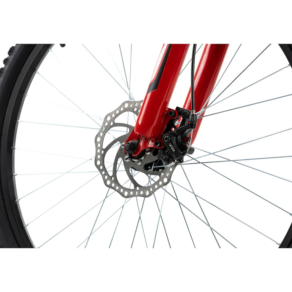 KS Cycling Mountainbike »Xtinct« 21 Gang Shimano Tourney Schaltwerk Kettenschaltung für Herren Kettenschaltung auf Rechnung bestellen Osterangebot