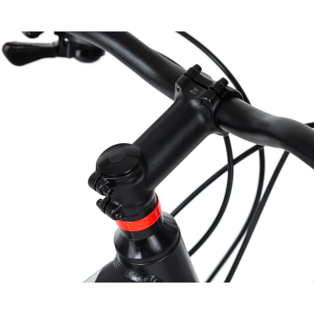 KS Cycling Mountainbike »Morzine« 21 Gang Shimano Tourney Schaltwerk Kettenschaltung für Herren Kettenschaltung Super Sparpreis