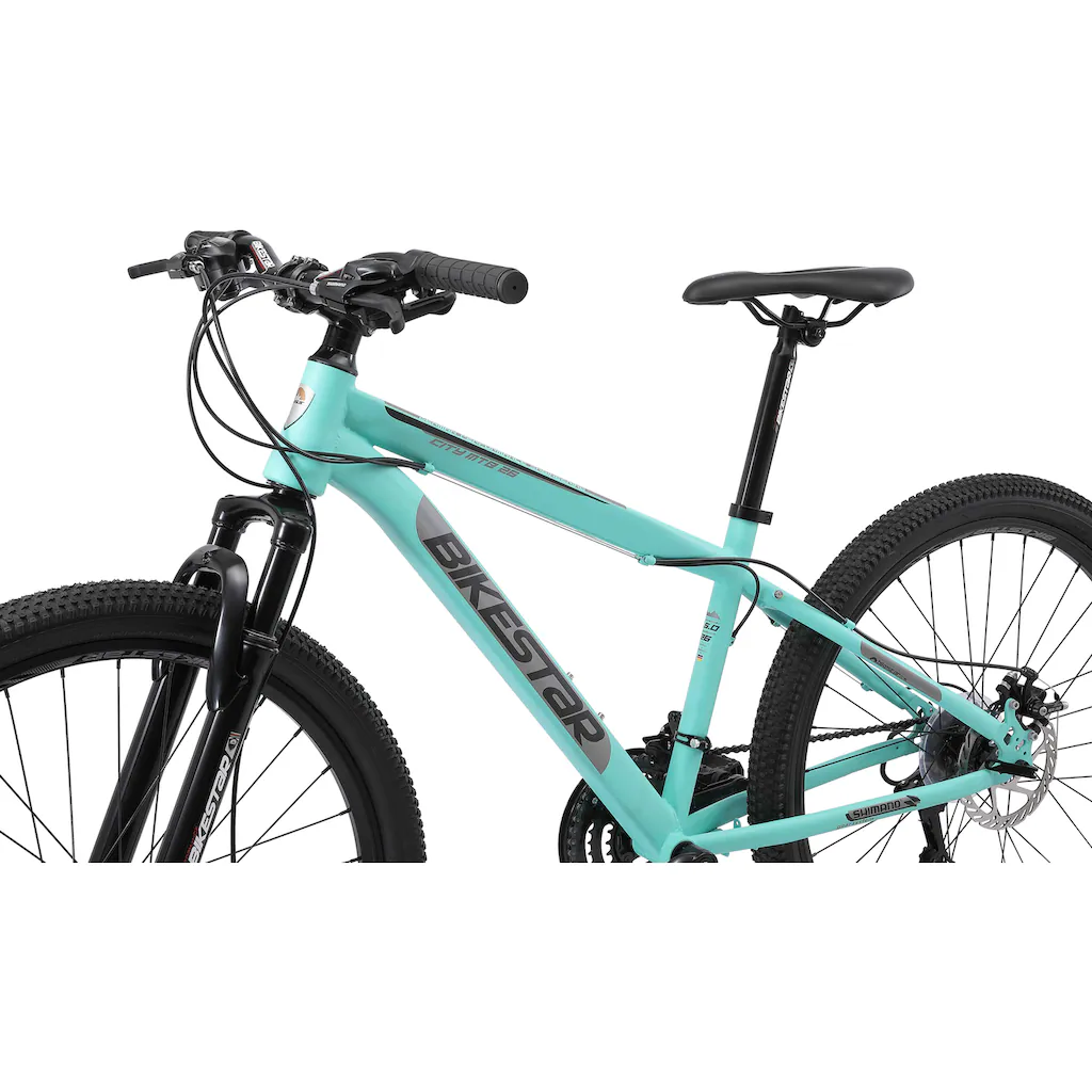Bikestar Mountainbike 21 Gang Shimano RD-TY300 Schaltwerk Kettenschaltung für Damen und Herren Kettenschaltung auf Rechnung bestellen Nur für heute