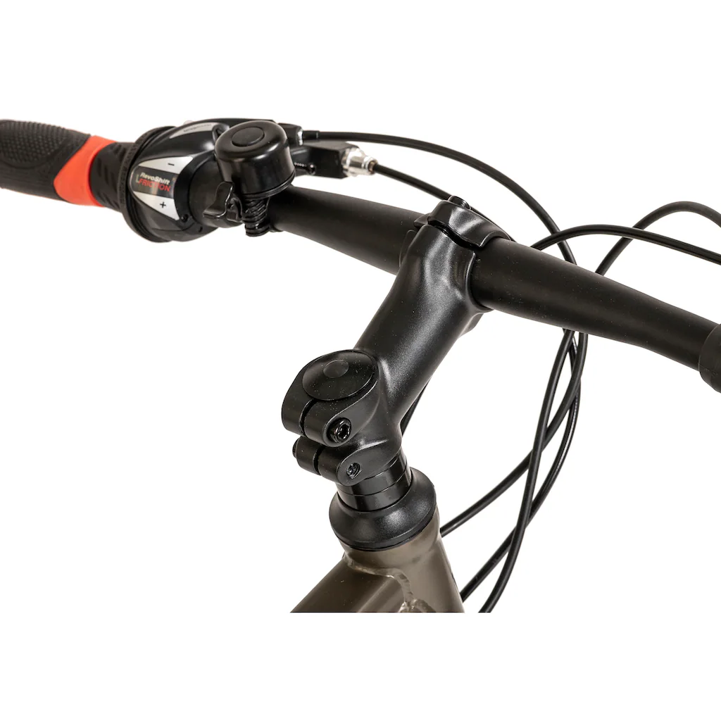 WYLD Mountainbike »Sharp« 21 Gang Kettenschaltung Im Verkauf