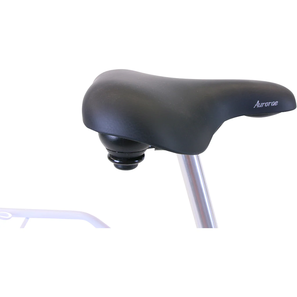 HAWK Bikes Cityrad »City Classic Joy White« 3 Gang Shimano Nexus Schaltwerk für Damen und Herren auf Raten Blitzverkäufe