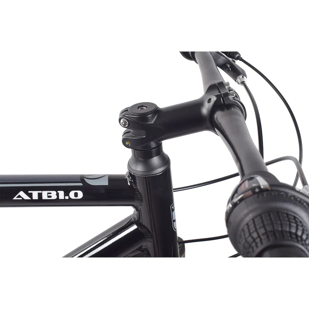 WYNN Mountainbike »ATB1.0« 21 Gang Shimano SHIMANO Tourney RD-TY300 Schaltwerk Kettenschaltung auf Rechnung Muttertagsangebot