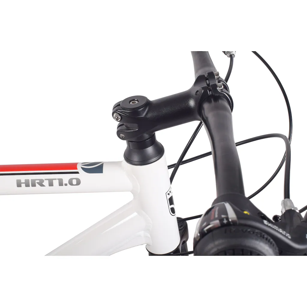 WYNN Mountainbike »HRT1.0« 21 Gang Shimano SHIMANO Tourney RD-TY300 Schaltwerk Kettenschaltung Letzter Tag