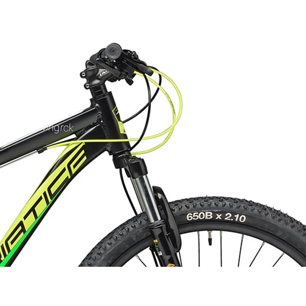 Adriatica Mountainbike »RC-K« 21 Gang Shimano TY500 Schaltwerk Kettenschaltung für Herren Kettenschaltung auf Rechnung Großer Ausverkauf